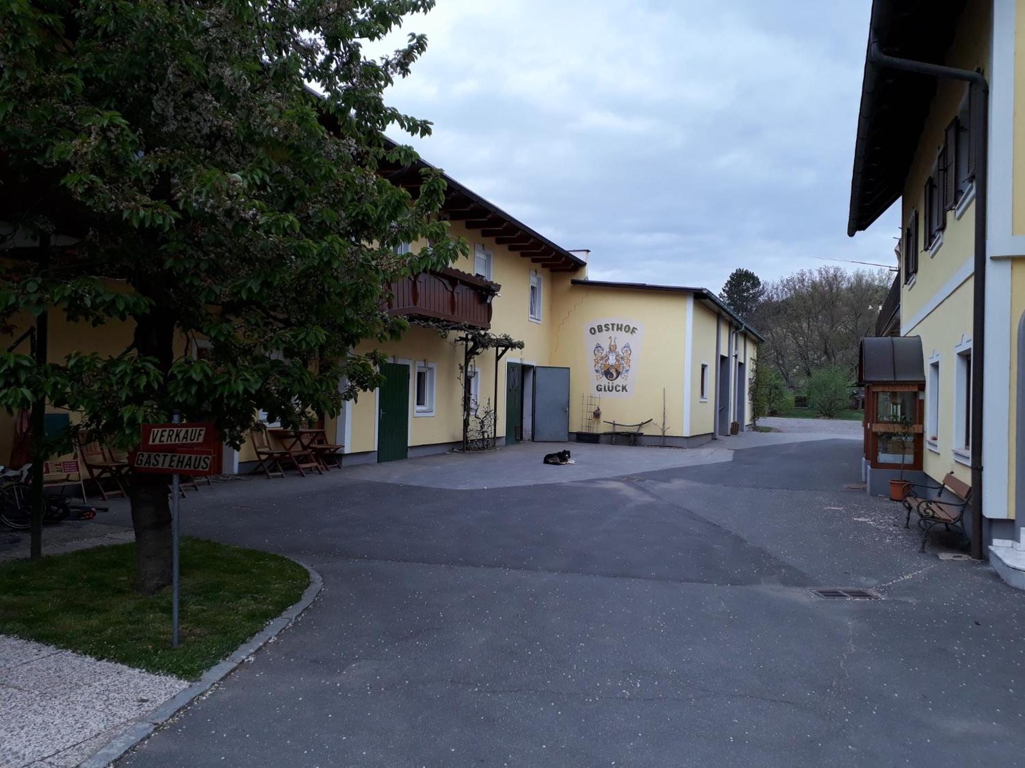 Obsthof Glueck Panzió Gamlitz Kültér fotó
